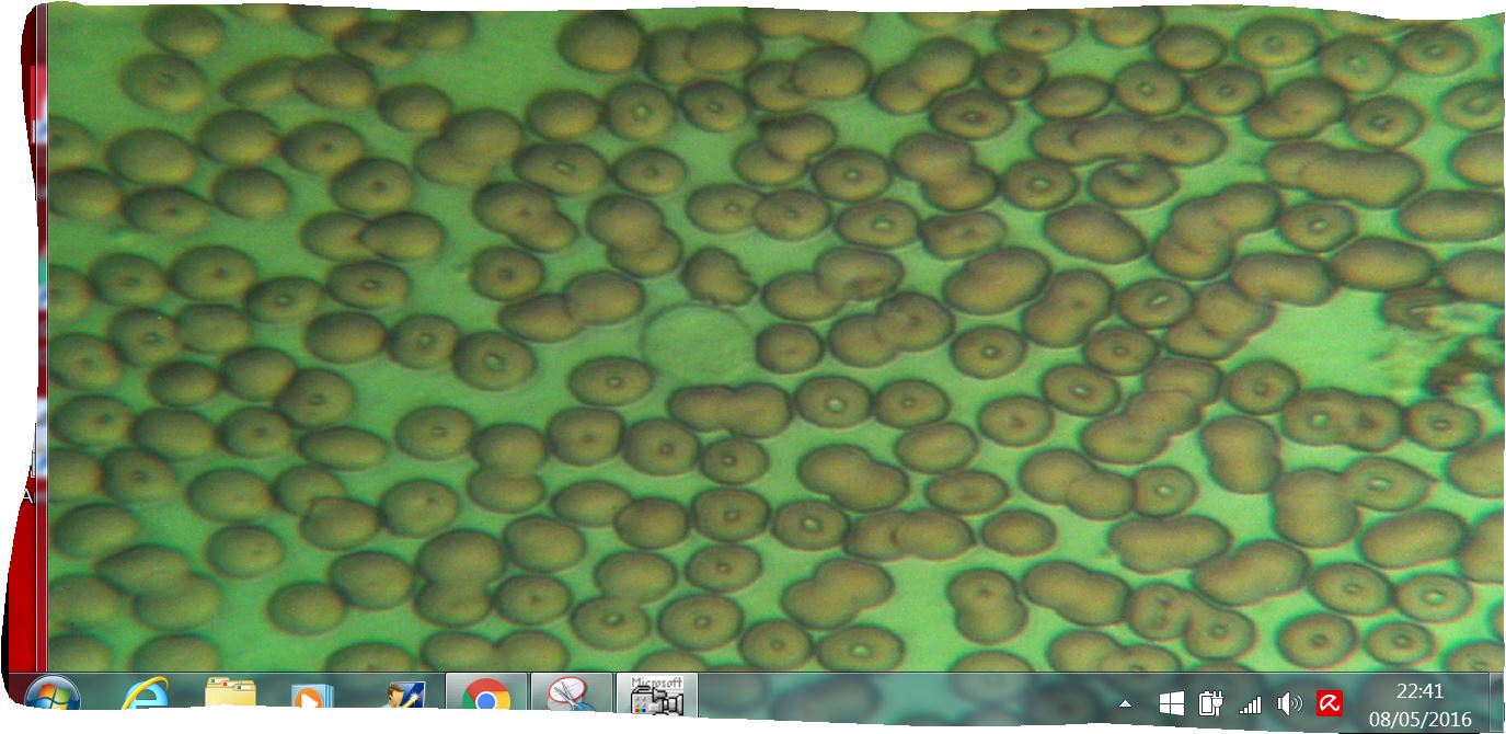 mio sangue con leggero effetto 3D